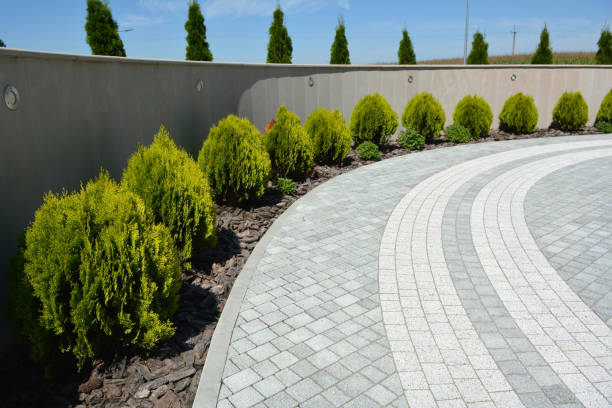 Best Concrete Paver Driveway  in Randallstown, MD