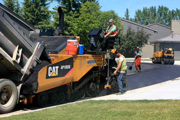 Best Professional Driveway Pavers  in Randallstown, MD